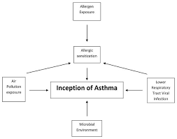 With his arrival, we have added additional office locations as well as expanded injection hours. Allergic Asthma Symptoms And Treatment World Allergy Organization