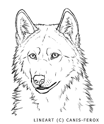 Believe it or not, this wolf face painting tutorial shows a design that can easily be face paint australia metallix copper is a super shimmery metallic orangey brown! Wolf Face Coloring Page Coloring Home