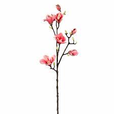 An example of protogynous plant reproduction (i.e. Rosdorf Park Artificial Magnolia Spray Wayfair