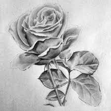 We did not find results for: 21 Gambar Bunga Gelap Terang 16 Contoh Gambar Sketsa Bunga Yang Mudah Digambar Hamparan Download Gambar Cabang Cahay Flower Drawing Roses Drawing Drawings