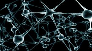 Image result for digital art desktop wallpaper