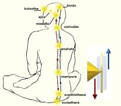 Risultati Immagini Per Bindu Kundalini Kundalini Kundalini Yoga Kriya Yoga