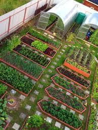 Kamu bisa membuat kebun sayur mini sederhana di pekarangan rumah mu. Kreatif 18 Gambar Model Kebun Sayuran Di Pekarangan Rumah