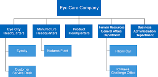 About Hoya Vision Care Company Hoya Vision Care Company