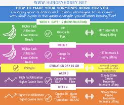 Menstrual Cycle Stages Appetite Training Nutrition Tips