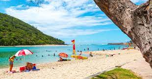 Buchen sie in 110.000 reisezielen auf der ganzen welt! Discover The Best Beaches In Queensland Air New Zealand
