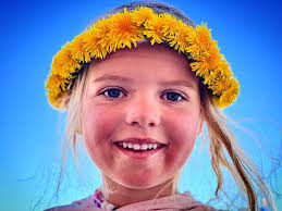 Day 3: “facing the reality” 0 miles. 14.2 total miles The cow amazingly  survives the night, we get picked up by Timmy the trail angel, and we all  take the cow to