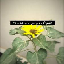 ربنا اتنا في الدنيا حسنه وفي الاخره حسنه وقنا عذاب النار. Alnjla8 Tumblr Com Tumbex