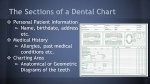 chapter 17 5 charting conditions of the teeth ppt video