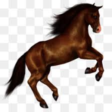 ذ رسمت وجه يونيكورن جديدة انس الرياح سبعة ألوان كرتون png وملف psd للتحميل مجانا. Show Jumping Horse Png Show Jumping Horse Silhouette Show Jumping Horse Photography Show Jumping Horse Drawing Show Jumping Horse Training Show Jumping Horse Silhouette Show Jumping Horse Games Show Jumping Horse Graphics Show Jumping Horse Icon Show