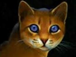 Based on the novel series by erin hunter, warrior cats (2023) is a movie that follows the adventure of an ordinary house cat named rusty as he ventures into what lies beyond his comfortable home. The Real Warrior Cats Movie Youtube