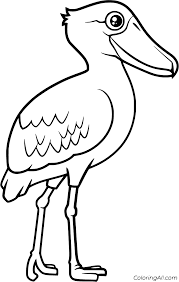 Which colors will you use to color this birds coloring picture? 5 Free Printable Shoebill Coloring Pages In Vector Format Easy To Print From Any Device And Automatically Fit Any Bird Coloring Pages Coloring Pages Shoebill