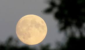A stagecoach full of passengers and an enigmatic gunslinger are held hostage by two outlaws on the run from the law but events take an unexpected turn when the travelers are stalked by a mythical beast that only appears on the night of a blood red moon. Blood Moon To Be Visible Tonight In Saudi Arabia Arab News