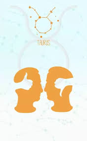 Image result for Zodiac Taurus