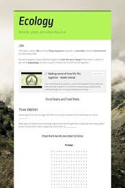 Ecology Smore Energy Flow Biology Notes Ecosystems