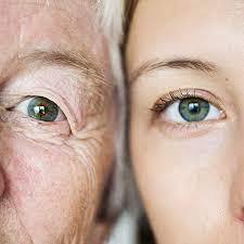 How To Find Birth Parents Through Dna Familysearch
