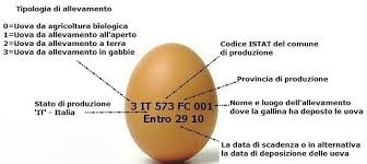 Check spelling or type a new query. Come Leggere L Etichetta Delle Uova