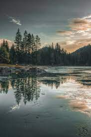 Pin On Amazing Nature