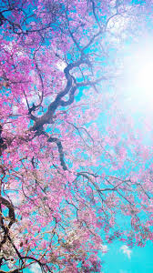 2*3*8=6*8 and 'kw0f'!='kw0f%, testing and 2*3*8=6*8 and btdh=btdh, testing' and. Iphone Wallpaper Anime Cherry Blossom Background
