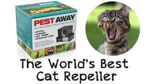 Buy cat ultrasonic pest repellers and get the best deals at the lowest prices on ebay! Pestaway Cat Repeller How To Get Rid Of Cats Every Time Youtube