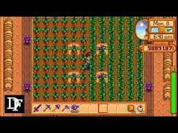 It takes so long to grow and does. Stardew Valley Ancient Fruit Vs Rare Seed For The Greenhouse Youtube