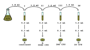 Serial Dilution Problem Help