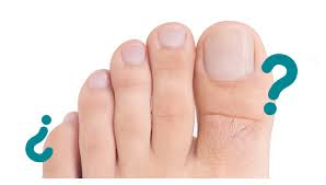 Como Se Llaman Los Dedos De Los Pies