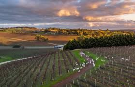 The legend of The Lane