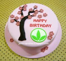 Cake princess celebrating her birthday. Herbalife Nutrition Birthday Cake Health And Traditional Medicine