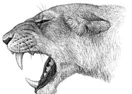 Europeu 2020 agendados, europeu 2020 lista de jogos, jogos futuros. Reconstruccio Del Cap D Un Lleo De Les Cavernes Europeu Panthera Leo Download Scientific Diagram