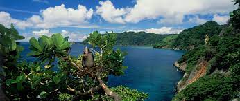 Check spelling or type a new query. Cocos Island Marine Park Costa Rica