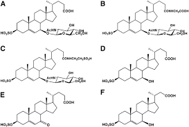 It belongs to a family known as lysosomal storage diseases and is caused by mutations leading to defective npc protein. Investigation Of Diagnostic Performance Of Five Urinary Cholesterol Metabolites For Niemann Pick Disease Type C Journal Of Lipid Research
