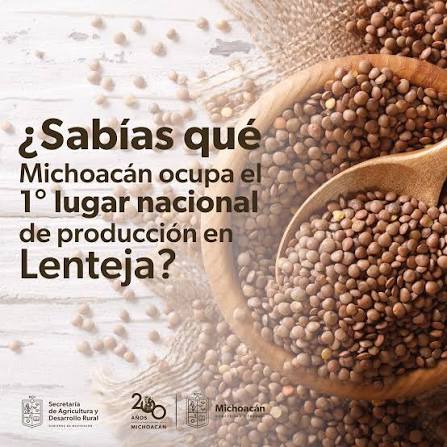 🌱✨ ¡Michoacán, líder en la producción de lenteja en México! 🇲🇽 Nuestra tierra es sinónimo de calidad y tradición agrícola. Gracias a los productores michoacanos, la lenteja es sinónimo de la cocina