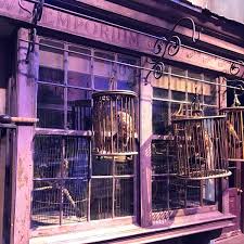 The honeydukes sign was so beautiful! Eeylops Owl Emporium General Entertainment
