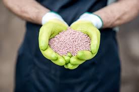 $22.49 with subscribe & save discount. What Organic Fertilizer Is High In Nitrogen Grow Food Guide