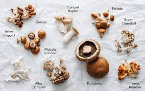 How To Cook Different Types Of Mushrooms Scratchpad By Good Eggs Stuffed Mushrooms Food Mushroom Varieties