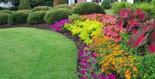 102 homes for sale in sussex, nj. Organic Lawn Care In Nj Naturally Greener Lawns