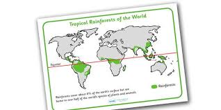 In this article we discuss the main characteristics of tropical forests, including climate and biodiversity. Rainforest Map World Reference Sheet Rainforest Map Rainforest Rainforest Biome