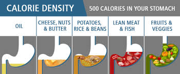 The Number Of Calories Burned Cycling I Love Bicycling