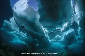 178 kg bernardin matam france: Honorable Mention Cold Water Ocean Art 2016 Mirko Zanni Underwater Photography Guide