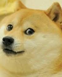 Doge Mlg Parody Wikia Fandom Browse and download hd doge png images with transparent background for free. doge mlg parody wikia fandom