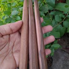 Root, roots, rooted, anchor, taproot, sanjeevi, plant root, grassroots. Jual Bidara Akar Tunjang 17 Cm Segi 8 Once Kab Jember Rahmagaleri Tokopedia