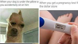29 Fucked Up Memes Some Really Fucked Up And Offensive Sfwfun