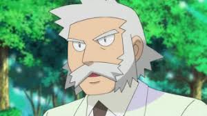 [PokeCommunity.com] General Roleplay Discussion Thread "the RPD" (archived)