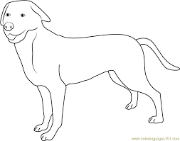 Download switzerland coloring pages,free switzerland to color. Greater Swiss Mountain Dog Coloring Page For Kids Free Dog Printable Coloring Pages Online For Kids Coloringpages101 Com Coloring Pages For Kids