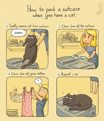 12 Comics That Are Too Realistic When It Comes To Living With A Cat Cat Comics Cat Jokes Cats