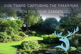Landscaping gives your yard a polished look by adding practical elements such as paths and helps no matter the size and shape of your yard, this is where you can find all landscaping ideas and. Gardening With Sun Traps And Sun Scoops Earth Undaunted