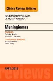 Meningiomas An Issue Of Neurosurgery Clinics Of North America Volume 27 2 1st Edition