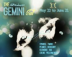 Double The Pleasure Double The Fun Astro Kitty Gemini Cat Wisdom 101 Everything Feline Since 2011 Gemini I Love Cats Cats