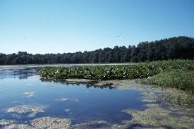 Floristic quality assessment index (FQAI) for vascular plants and mosses  for the State of Ohio